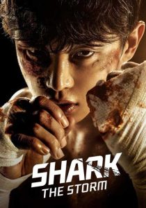 ดูซีรี่ย์เกาหลี Shark: The Storm (2025) EP.1-6 (จบเรื่อง)